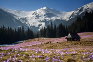 z21553132IH,Wiosna-budzi-sie-w-Tatrach